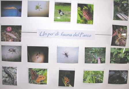 Le foto del parco in festa